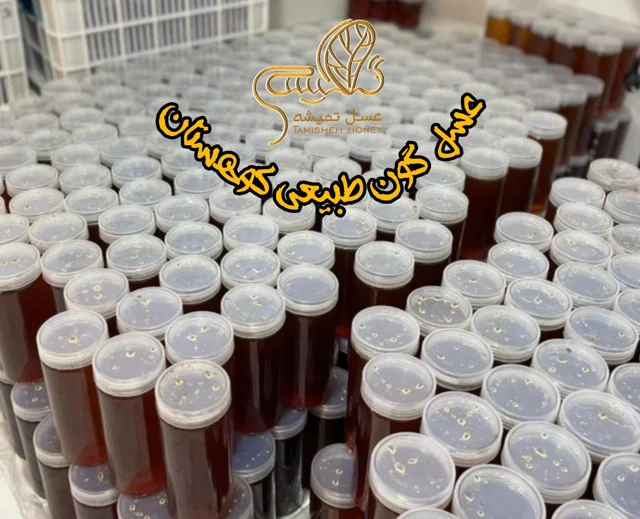 عسل گون 1 کیلویی