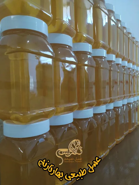 عسل بهارنارنج 1 کیلویی